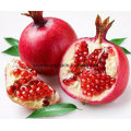 95% Ellagic Acid From Pomegranate Peel/Hull Extract